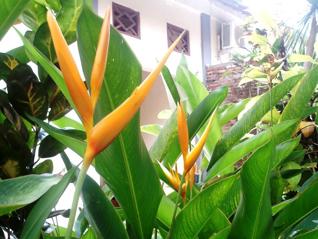 Margo Utomo Hill View Resort Banyuwangi  Exterior foto